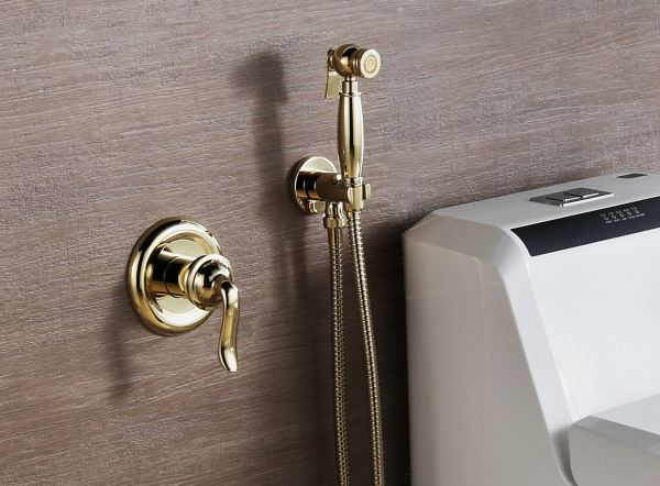 Гигиенический душ для унитаза: как выбрать и установить сантехнику