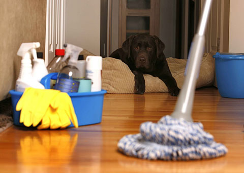 10 секретов быстрой уборки в квартире – наводим порядок за 30 минут