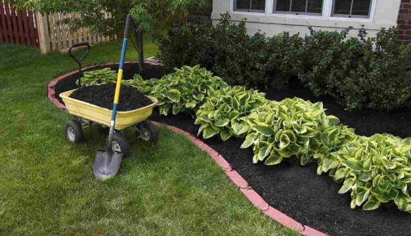 Как улучшить почву на садовом участке